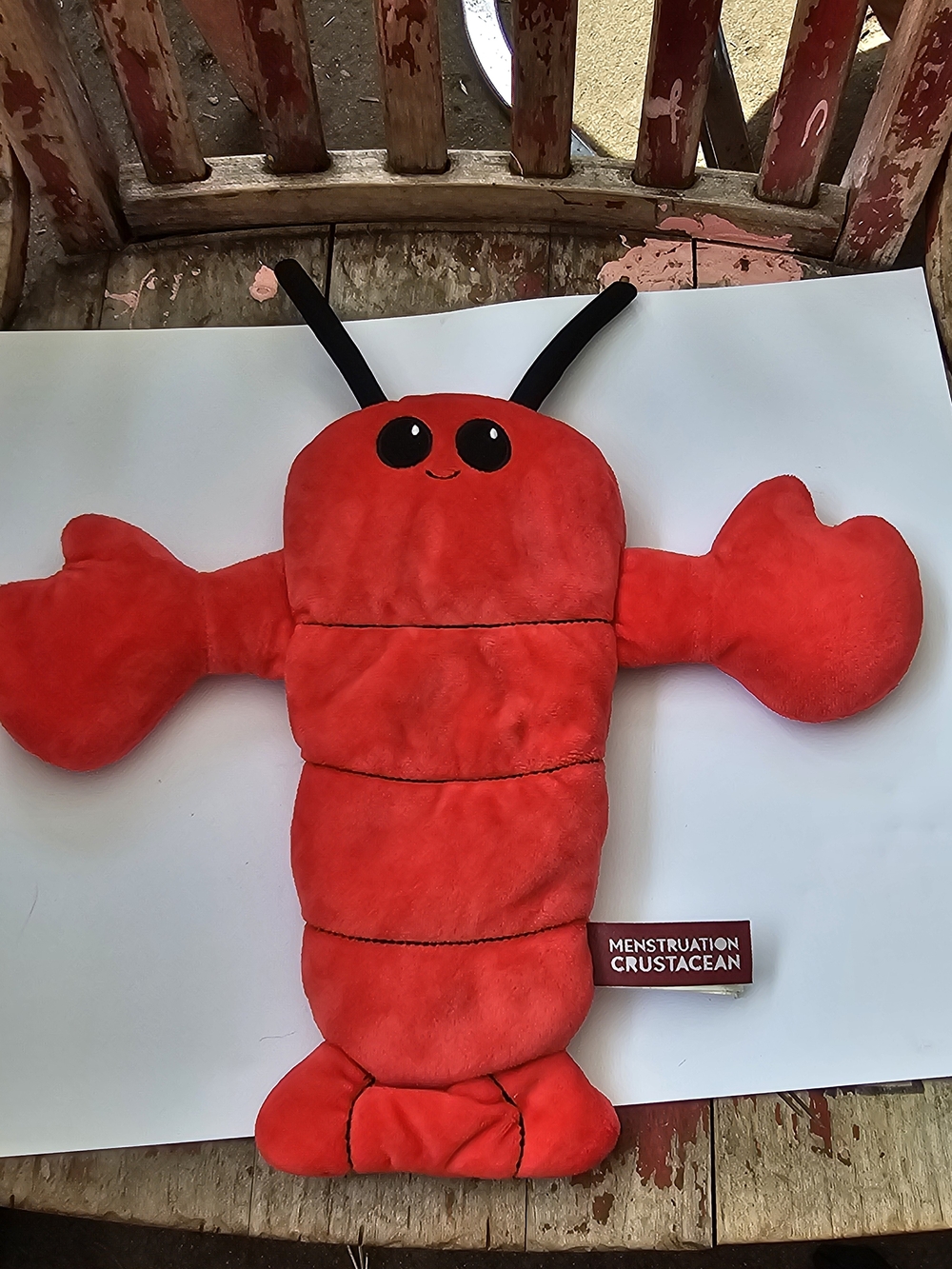 Menstruation Crustacean Heating Pad